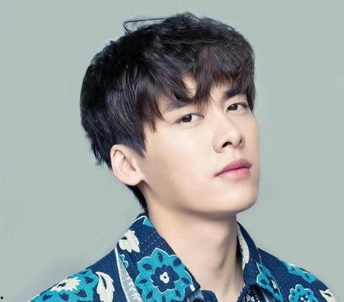 娱乐圈吃瓜李易峰是谁啊