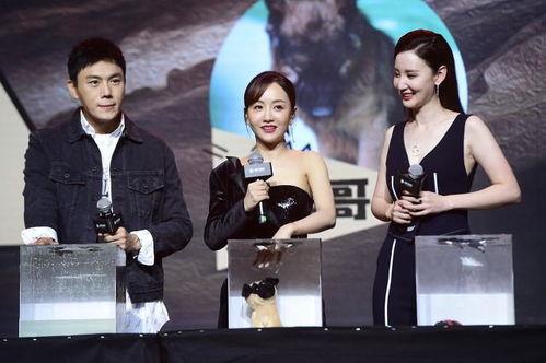 我在娱乐圈吃瓜爆红最新